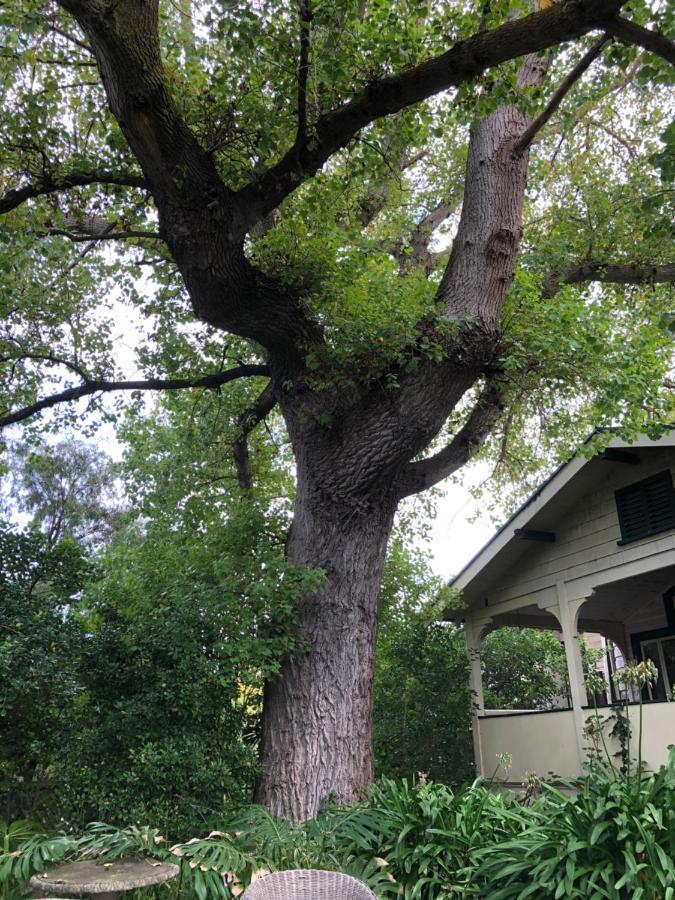 罗蕾莱住宿加早餐旅馆 波特兰 外观 照片