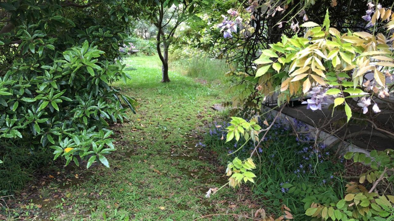 罗蕾莱住宿加早餐旅馆 波特兰 外观 照片